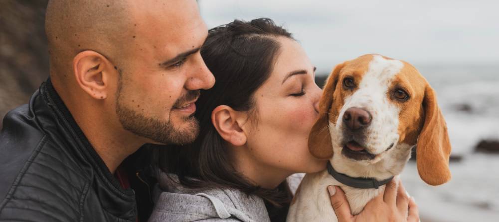 Ideas de planes perfectos con tu perro en San Valentin