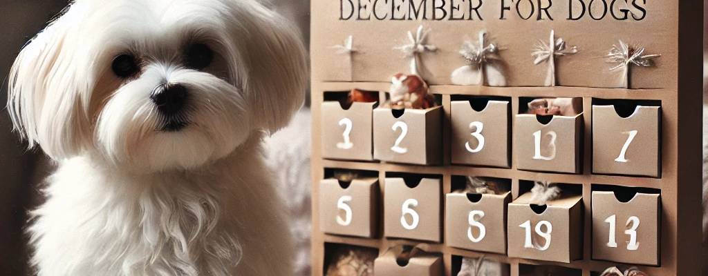 como hacer un calendario de adviento para perros